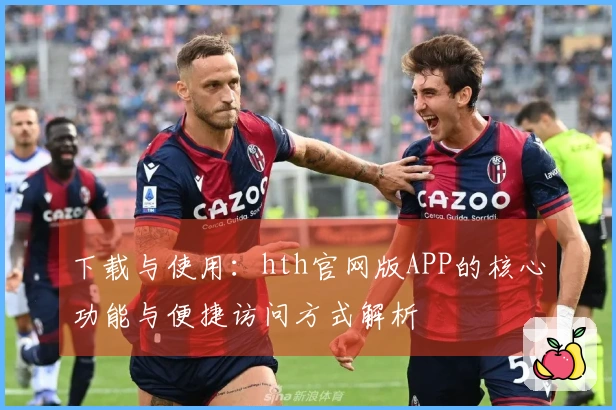 下载与使用：hth官网版APP的核心功能与便捷访问方式解析
